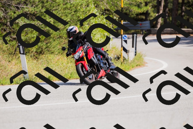 202509131443-_04A9042_c3