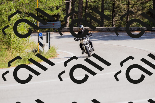 202509131443-_04A9045_c3