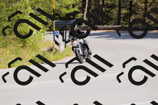 202509131443-_04A9046_c3