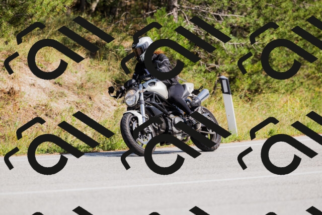 202509131443-_04A9048_c3