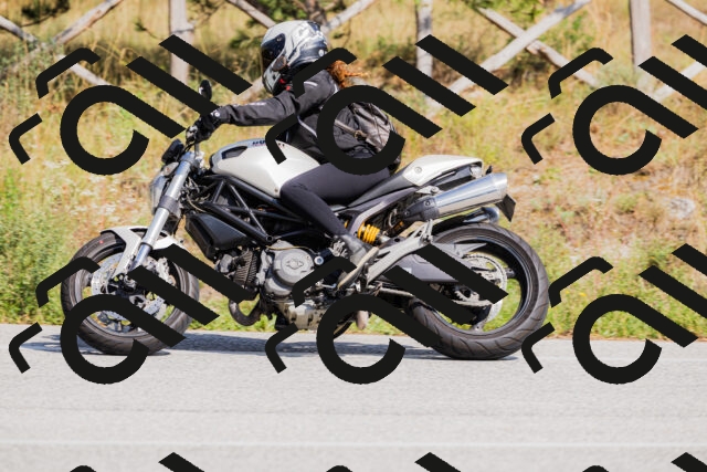 202509131443-_04A9051_c3