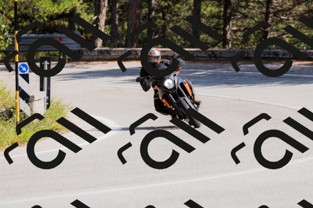 202509131444-_04A9053_c3