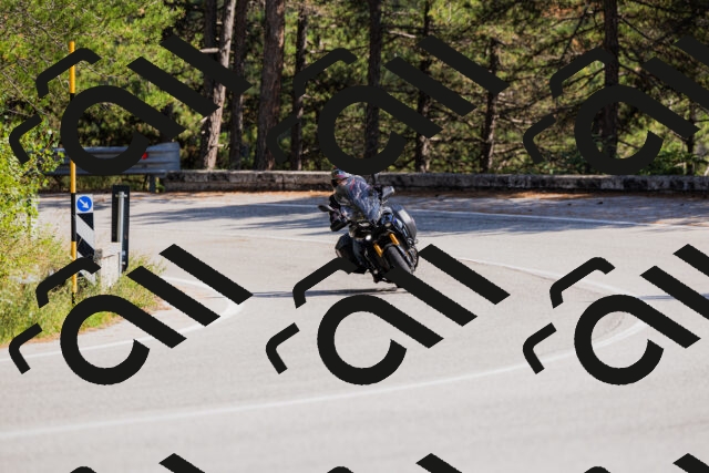 202509131444-_04A9059_c3