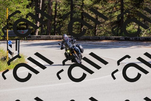 202509131444-_04A9060_c3