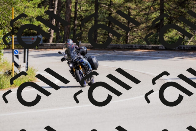 202509131444-_04A9061_c3