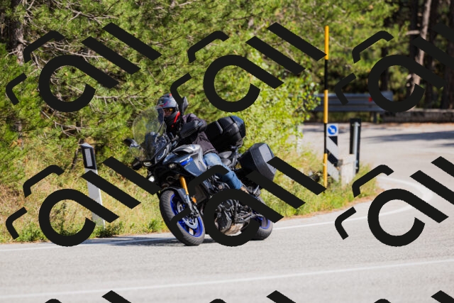 202509131444-_04A9063_c3