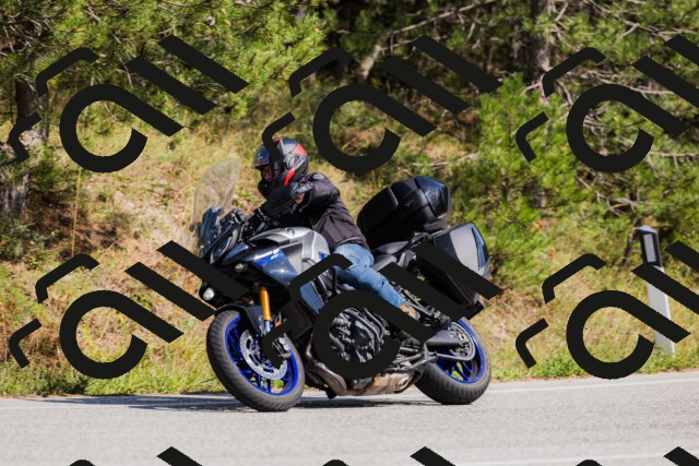 202509131444-_04A9064_c3