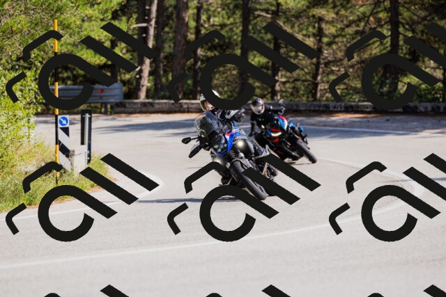 202509131445-_04A9076_c3