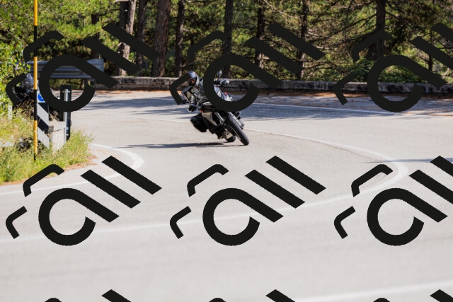 202509131446-_04A9083_c3