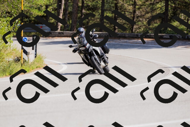 202509131446-_04A9086_c3