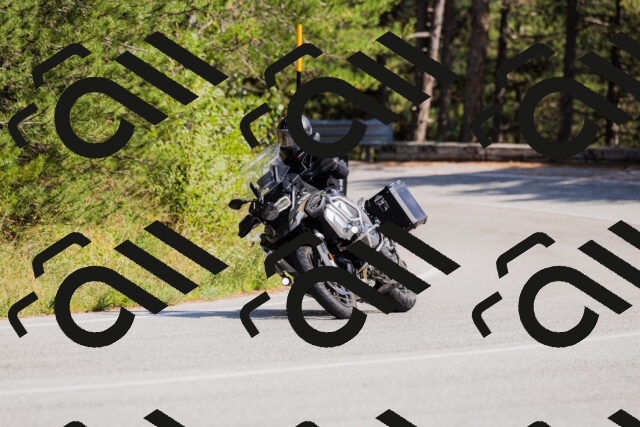 202509131446-_04A9088_c3