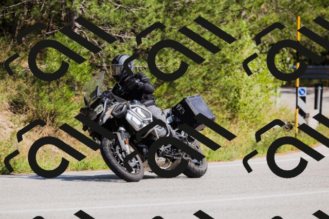 202509131446-_04A9089_c3