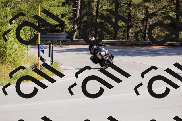 202509131446-_04A9091_c3