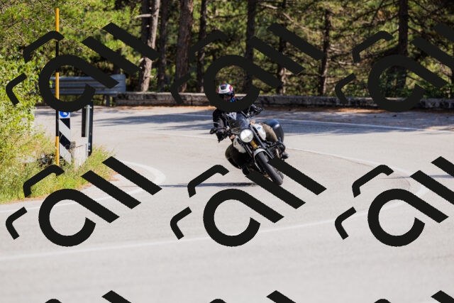 202509131446-_04A9093_c3