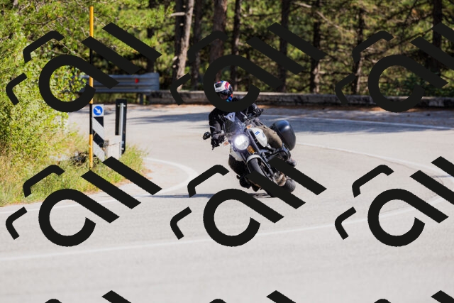 202509131446-_04A9094_c3