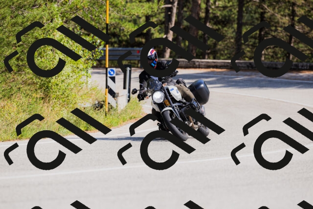 202509131446-_04A9095_c3