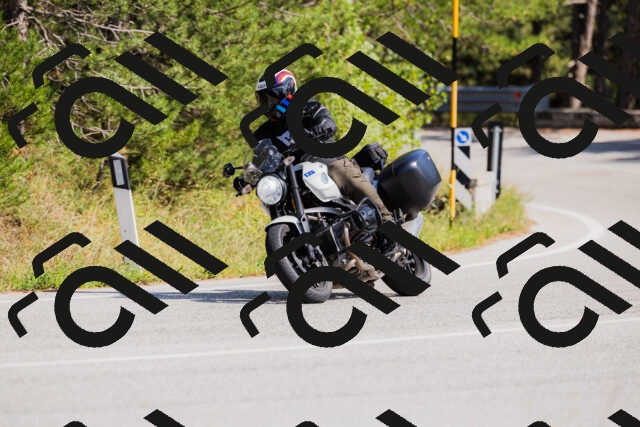 202509131446-_04A9096_c3