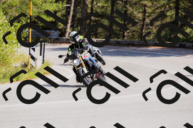 202509131446-_04A9099_c3