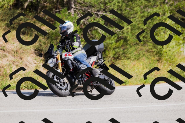 202509131446-_04A9101_c3