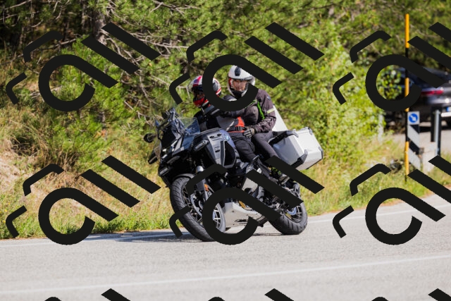 202509131447-_04A9114_c3