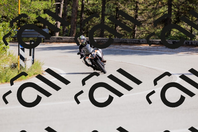 202509131448-_04A9117_c3