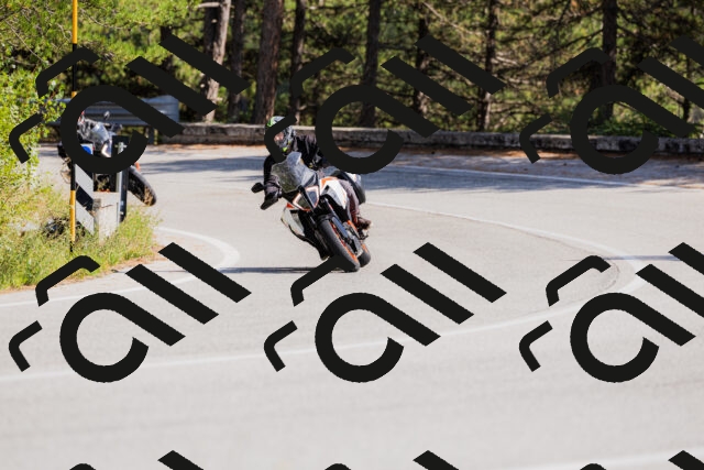 202509131448-_04A9118_c3