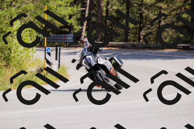 202509131448-_04A9122_c3