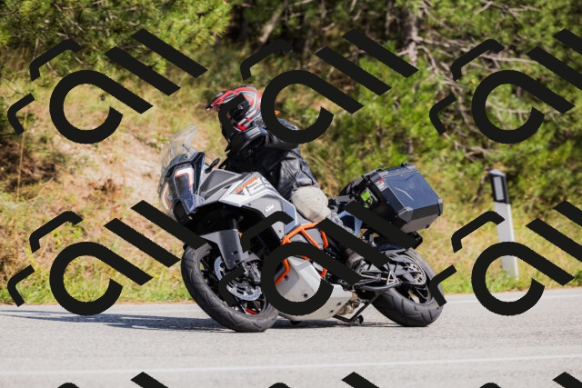 202509131448-_04A9124_c3