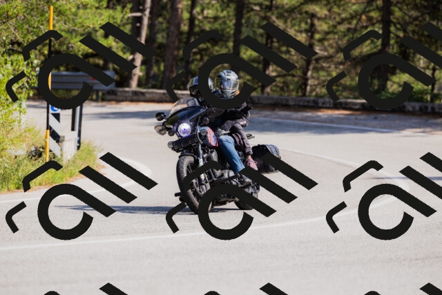 202509131449-_04A9128_c3