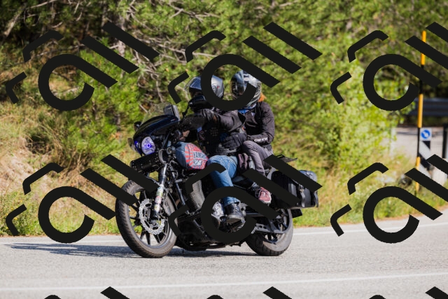 202509131449-_04A9130_c3