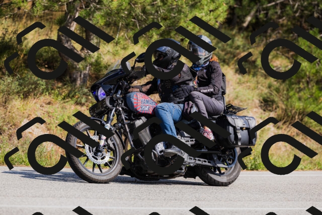 202509131449-_04A9131_c3