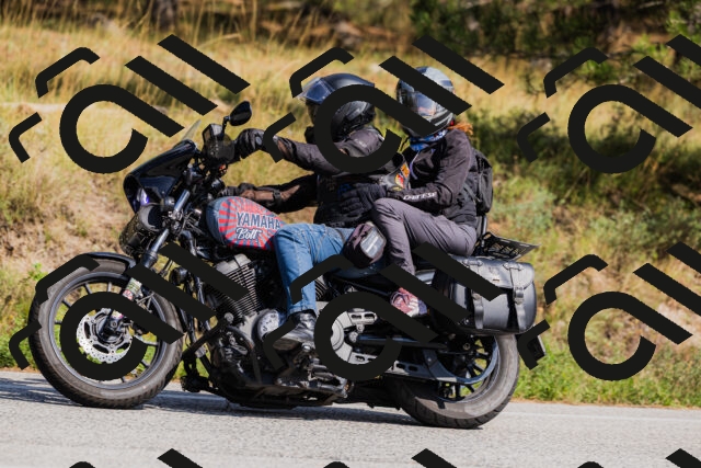 202509131449-_04A9132_c3