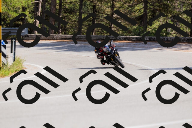 202509131453-_04A9145_c3