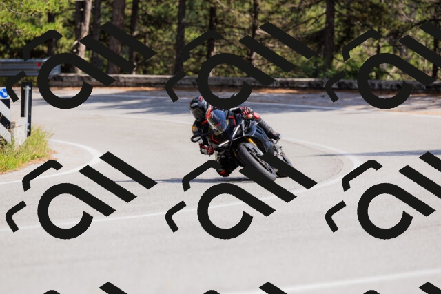 202509131453-_04A9147_c3