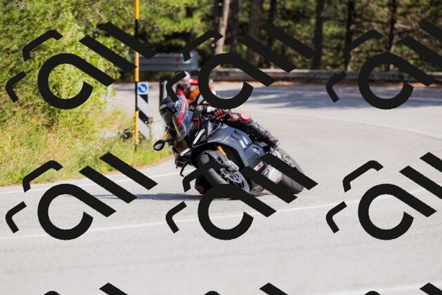 202509131453-_04A9148_c3