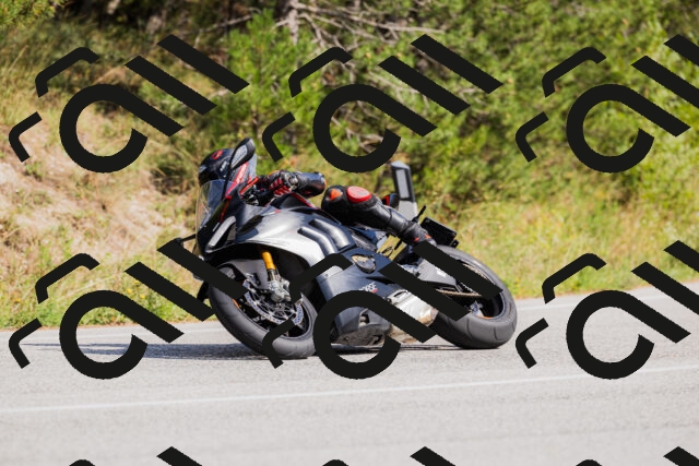 202509131453-_04A9149_c3