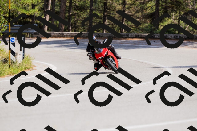 202509131453-_04A9154_c3