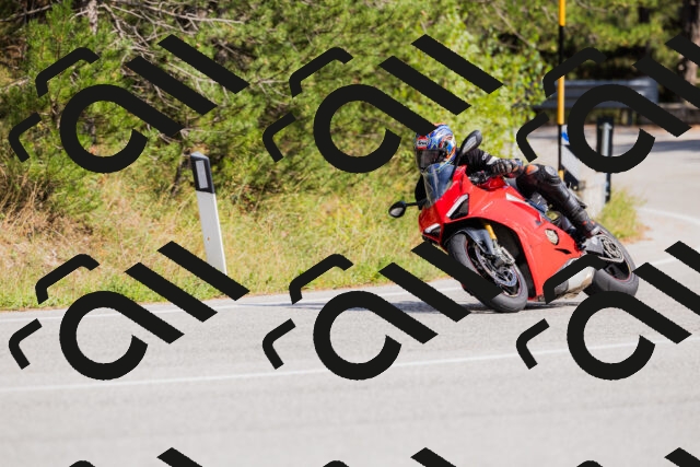 202509131453-_04A9156_c3