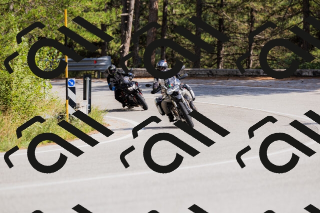 202509131454-_04A9158_c3