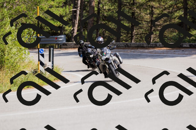 202509131454-_04A9159_c3