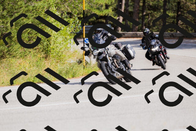 202509131454-_04A9161_c3