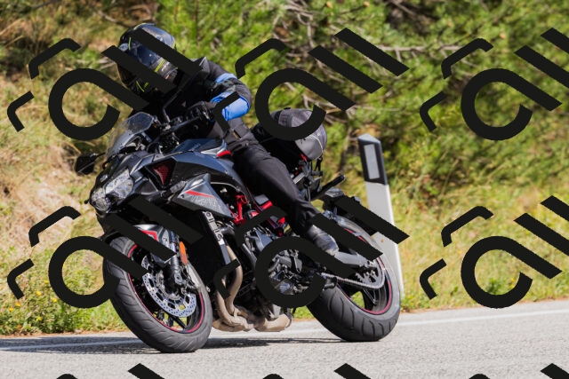 202509131454-_04A9164_c3