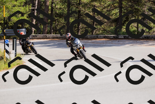 202509131455-_04A9165_c3