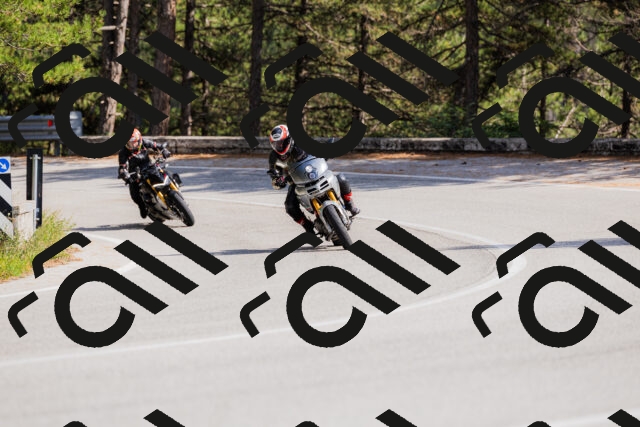 202509131455-_04A9166_c3