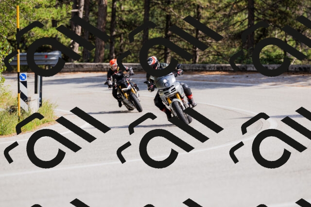 202509131455-_04A9167_c3