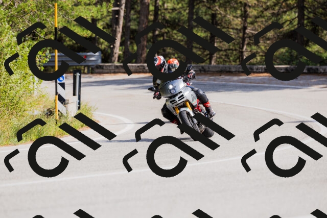 202509131455-_04A9168_c3