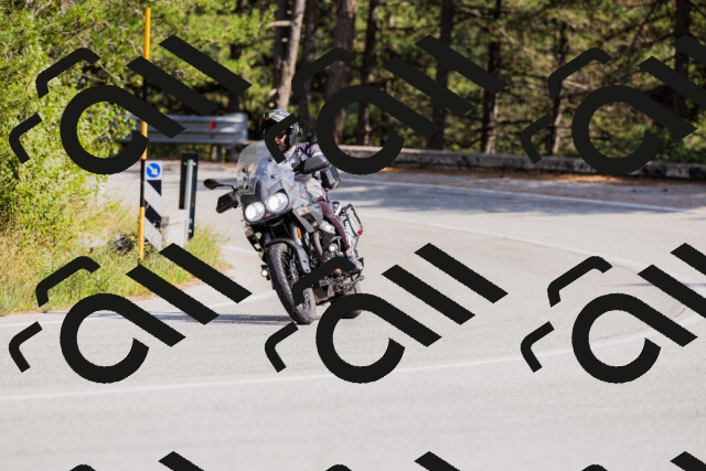 202509131456-_04A9173_c3