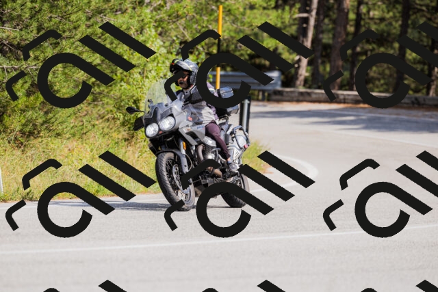 202509131456-_04A9174_c3