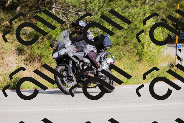 202509131456-_04A9175_c3