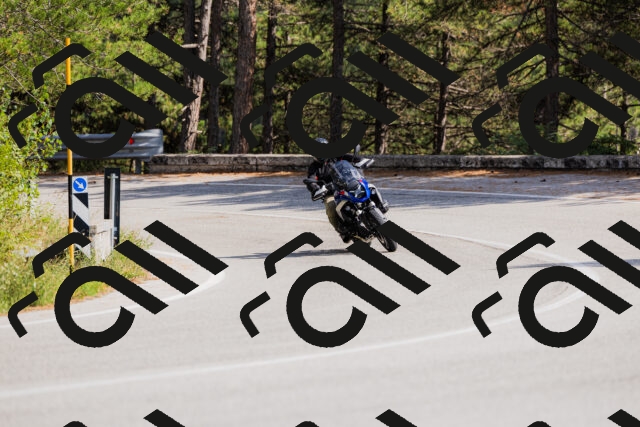 202509131458-_04A9181_c3